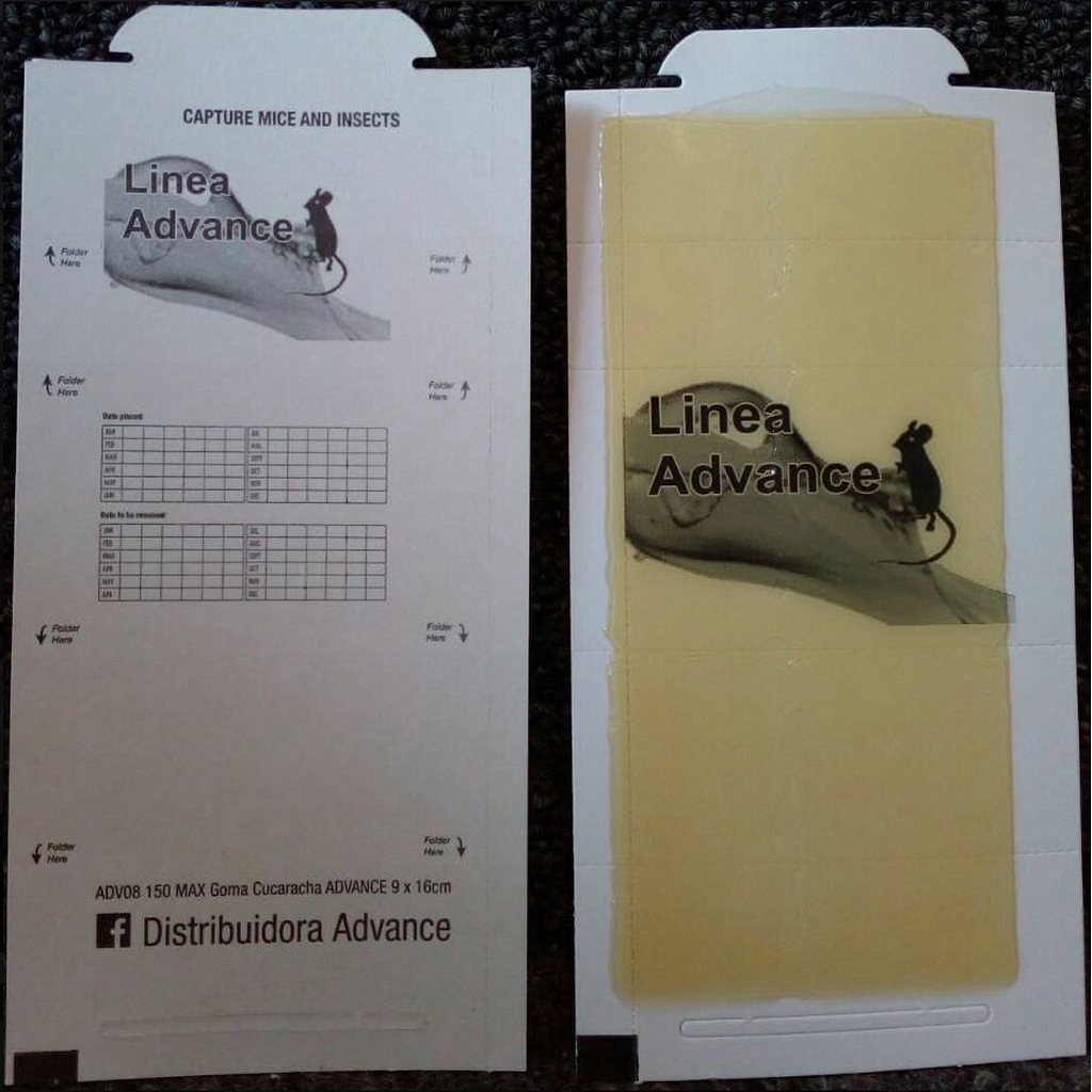 150 MAX 8GRS ADVANCE 9X16 CM TRAMPA PEGAMENTO INSECTOS