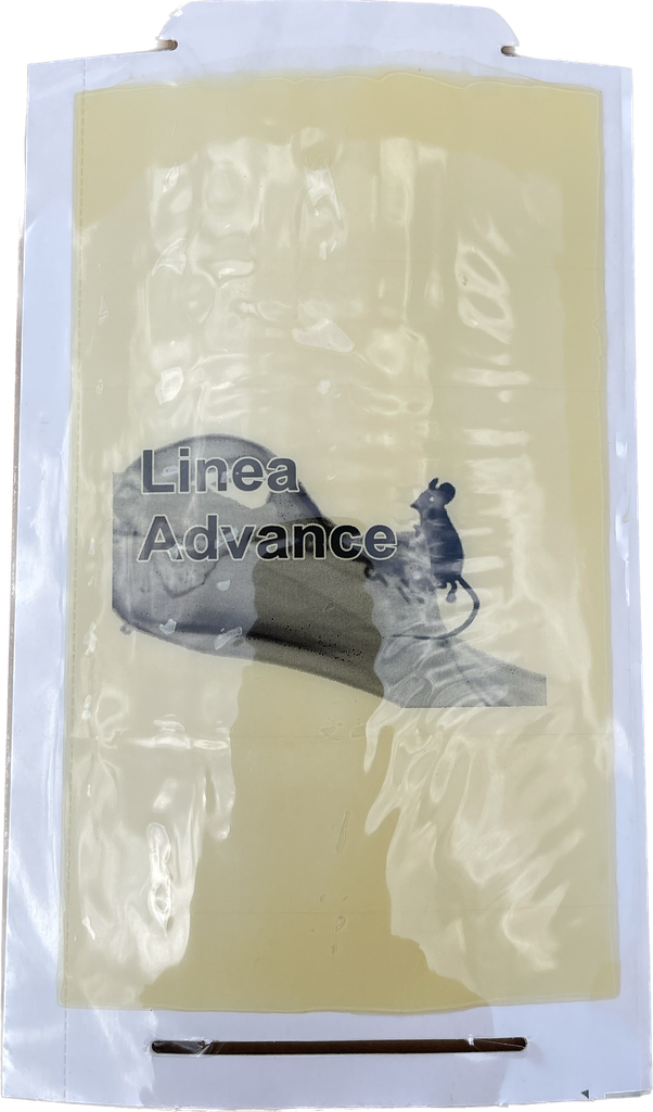 72 MAX 12GRS ADVANCE 13X20 CM TRAMPA PEGAMENTO RATON X PIEZA