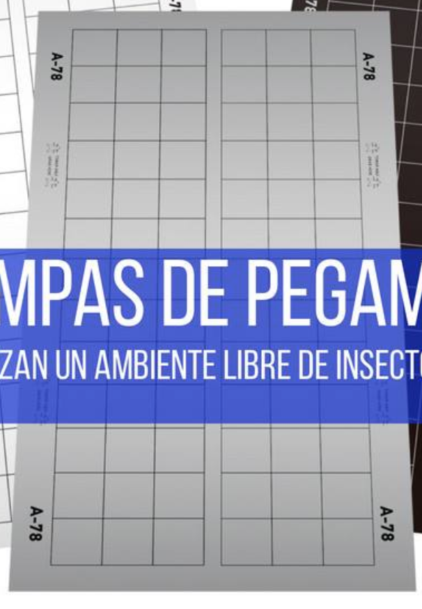 Trampa de pegamento para insectos voladores 924 Doble PLATA Advance 23x41