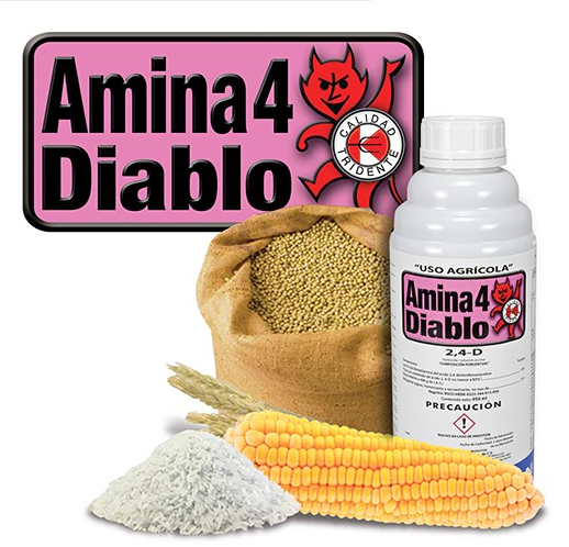 AMINA 4 DIABLO 2,4-D 49.6% 950 ml USO AGRICOLA