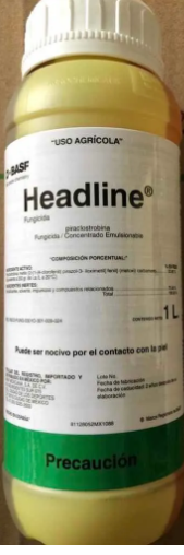 HEADLINE Piraclostrobina 23.60% 1 L USO AGRICOLA