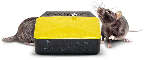 INSECCONTROL MASTER TRAMP 2 PACK