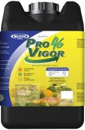 PROVIGOR Fosforo 46% 20 L USO AGRICOLA