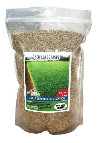 SEMILLA PASTO AZUL KENTUCKY 1KG USO AGRICOLA