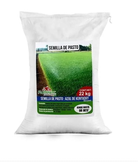 SEMILLA PASTO AZUL KENTUCKY 22.7 KG USO AGRICOLA