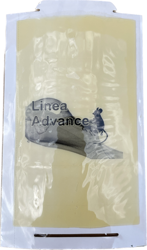 [ADV37] Trampa de pegamento para raton 72-MAX Advance 13x20