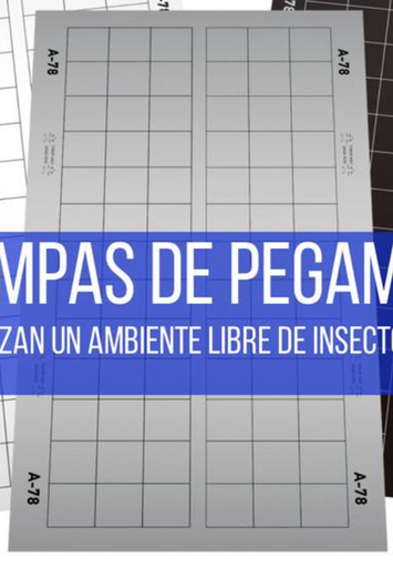 [ADV05] Trampa de pegamento para insectos voladores 924 Doble PLATA Advance 23x41