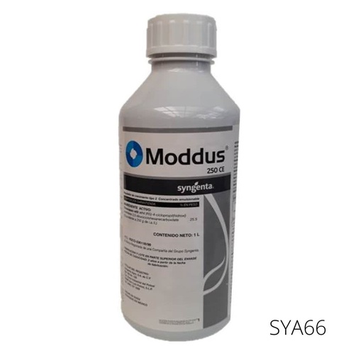 [SYA66] MODDUS 250 CE Trinexapac-etil 25.50% 1 L USO AGRICOLA