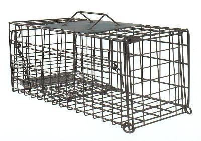 [ADV39] Trampa JR de captura para pequeñas especies 43x19x18