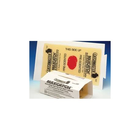 [CMR17] Trampa de pegamento para raton 72-MB Catchmaster