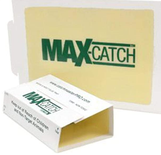 [CMR03] TRAMPA P/ RATÓN 72 MAX CATCH 13 X 20 CM