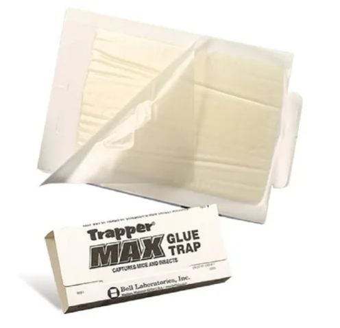 [BEL24] TRAPPER MAX  TRAMPA DE PEGAMENTO 13 X 20 TL2586